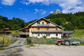 La Ferme De L'âne Rouge